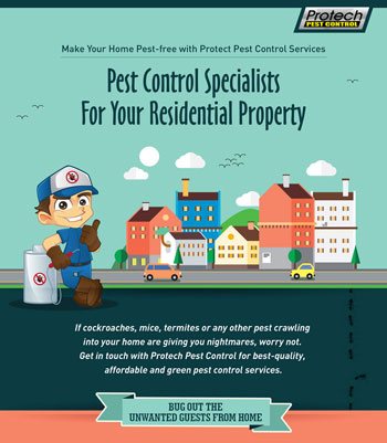 Pest Control Specialists For Your Residential Property