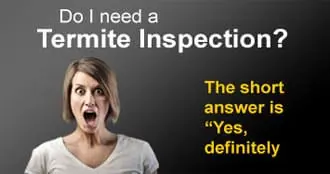 Termite Inspection Melbourne