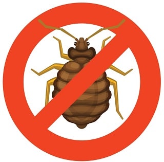bed bug pest control
