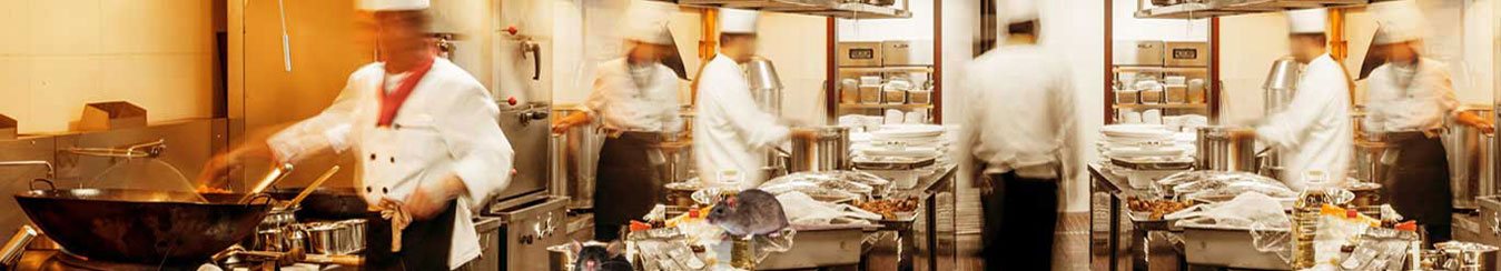 Commercial Pest Control