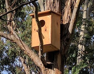 Possum house