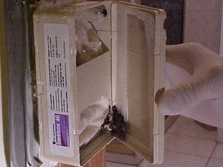 Monitoring Sentricon